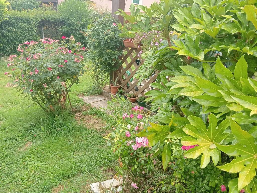 Appartamento a Borgoricco in Via Don Finco, 9 - Foto 2