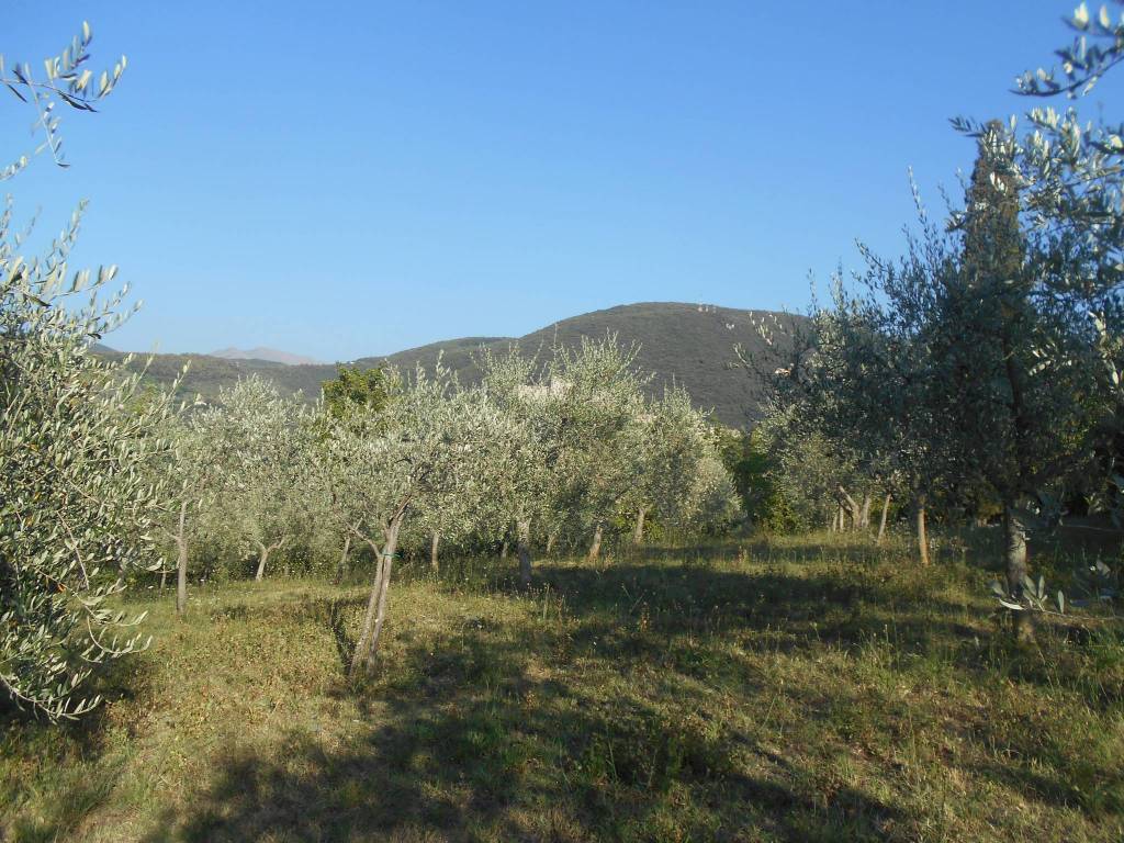 Terreno a Spoleto in Strada di Collerisana - Foto 5