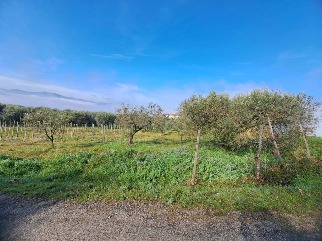 Terreno a Sant'agata de' goti in Piazza Trieste - Foto 2