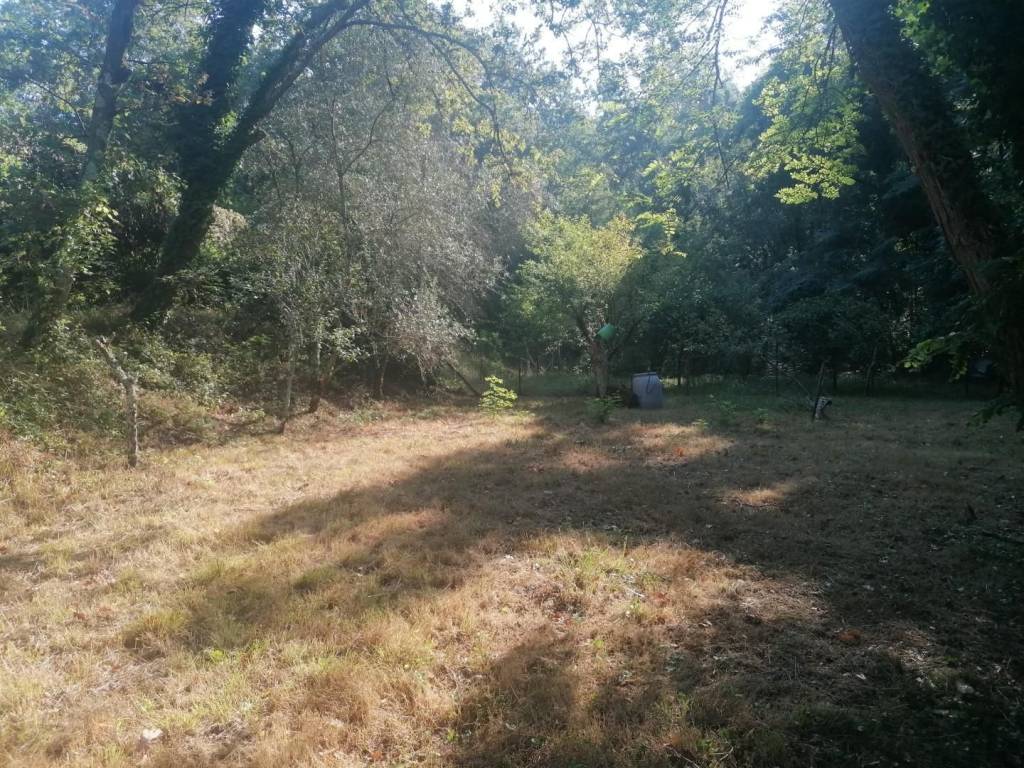 Appartamento a Castelnuovo magra - Foto 5