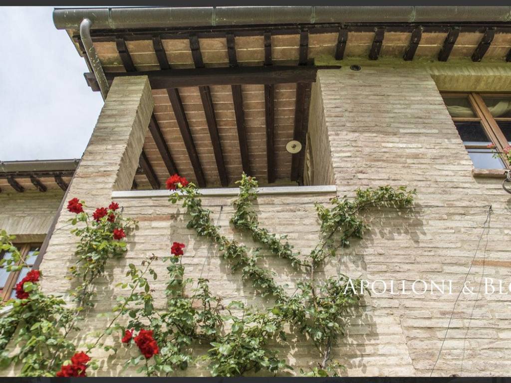 Rustico / casale a Montepulciano - Foto 5