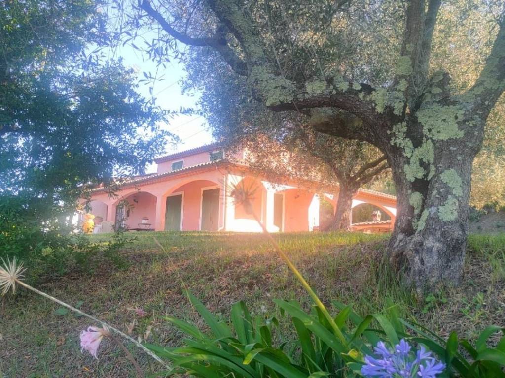 Casa indipendente a Sarzana - Foto 2