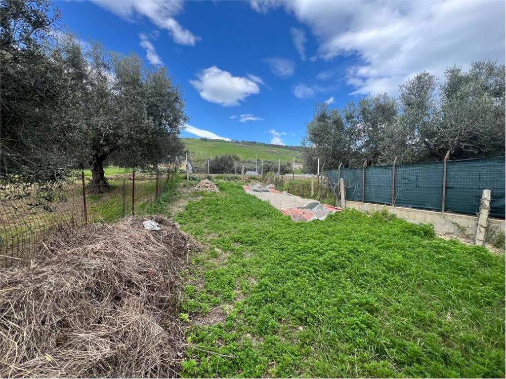 Terreno a Pineto in VIA PIERPAOLO PASOLINI - Foto 2