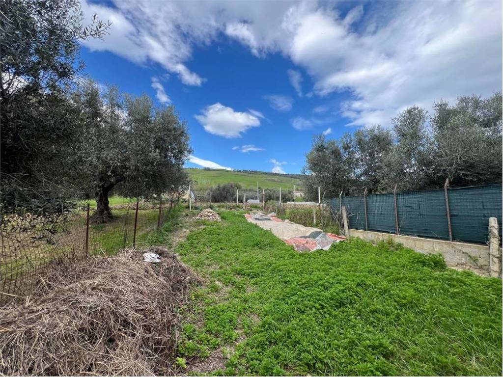 Terreno a Pineto in VIA PIERPAOLO PASOLINI - Foto 5