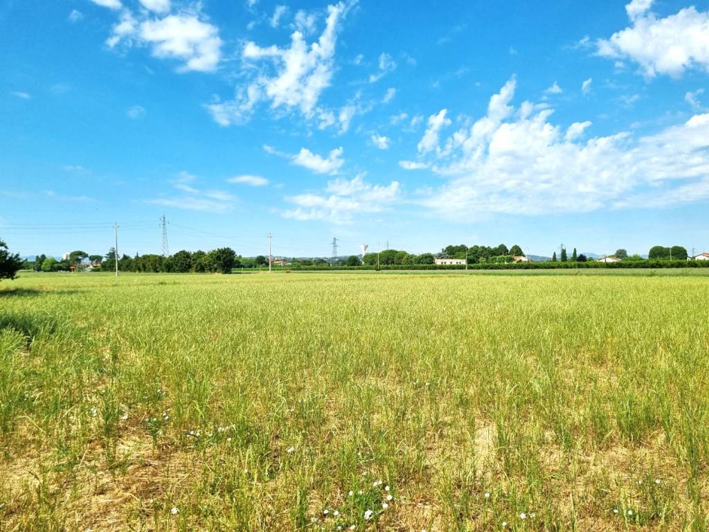 Villa a Imola in Via Carpe - Foto 3