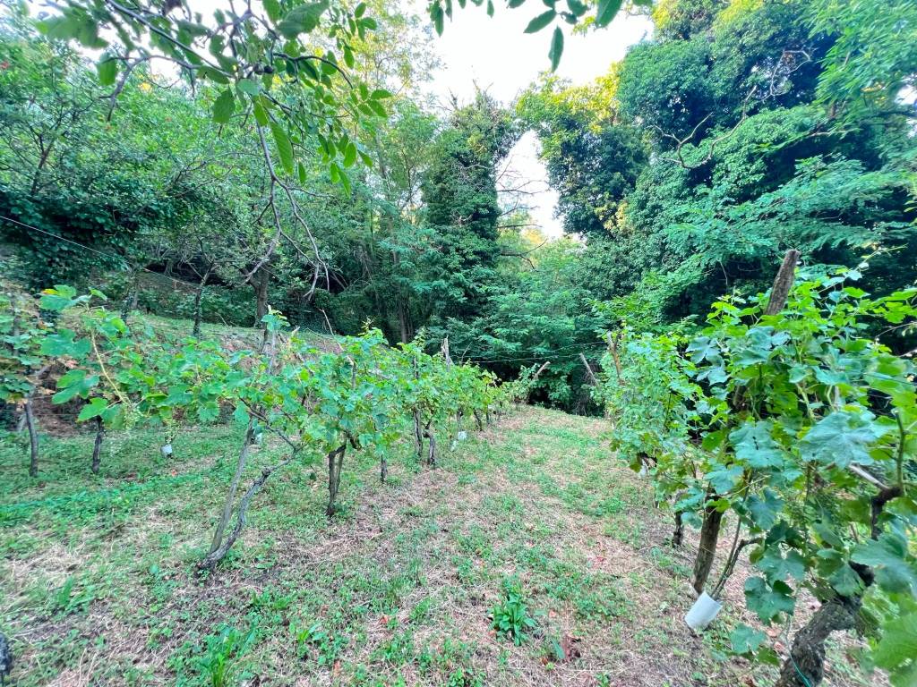 Terreno a Adro in Via Castello - Foto 3