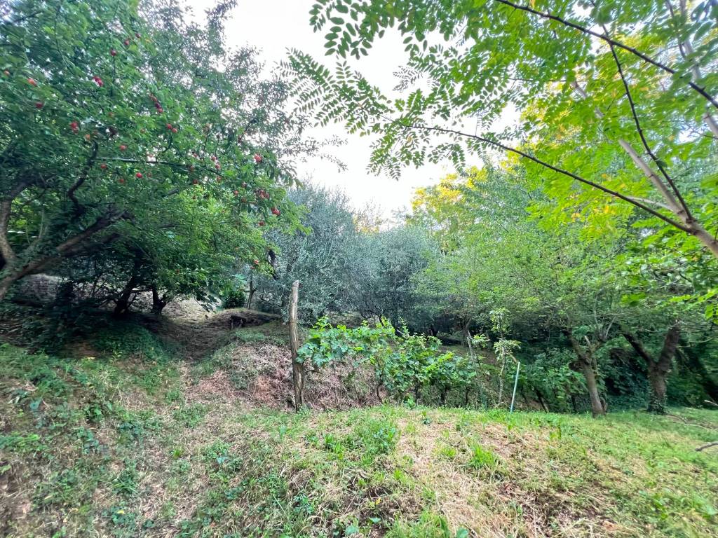 Terreno a Adro in Via Castello - Foto 4