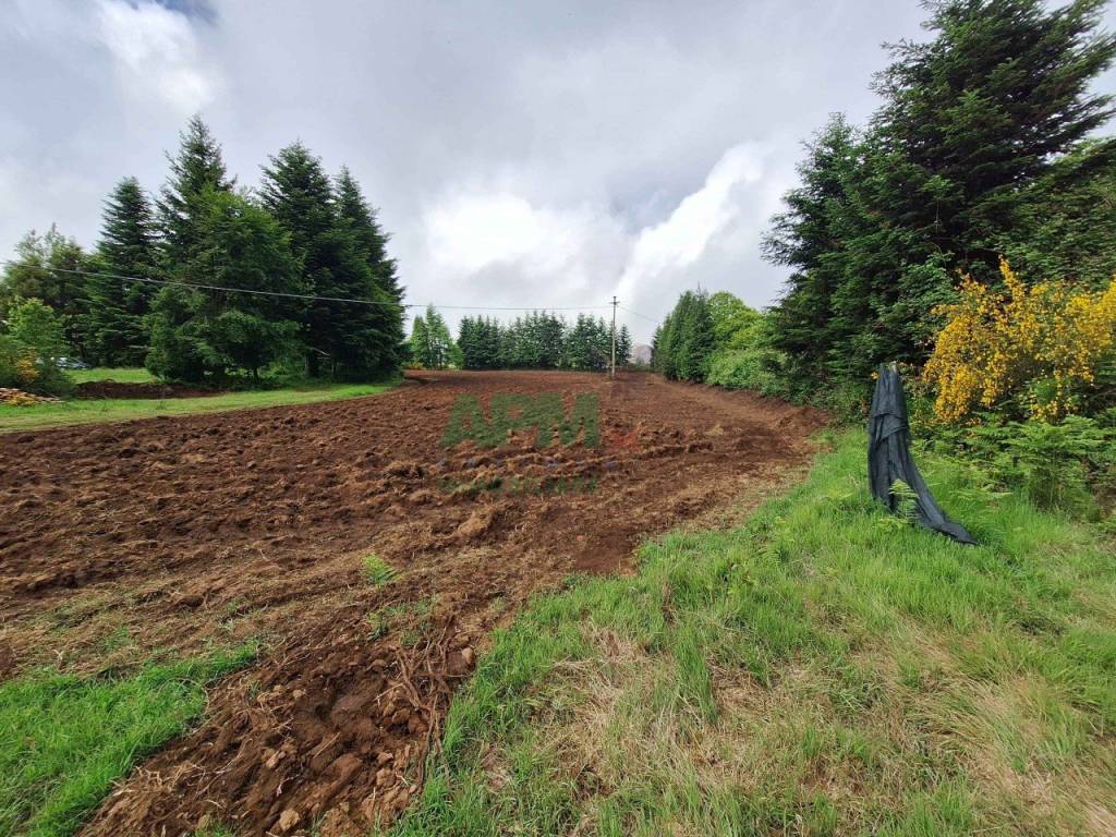 Rustico / casale a Scilla - Foto 3