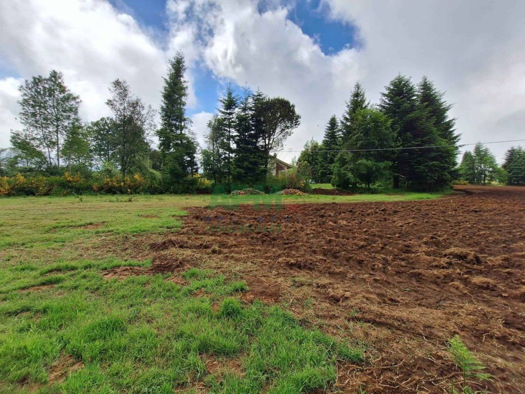 Rustico / casale a Scilla - Foto 4