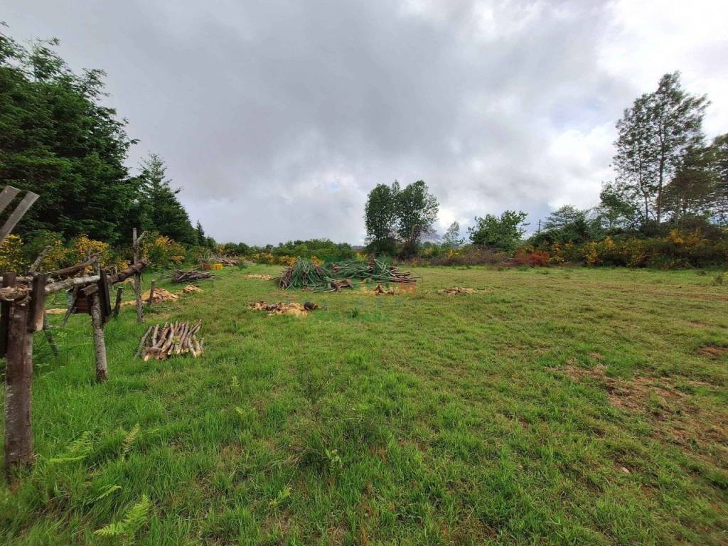 Rustico / casale a Scilla - Foto 5