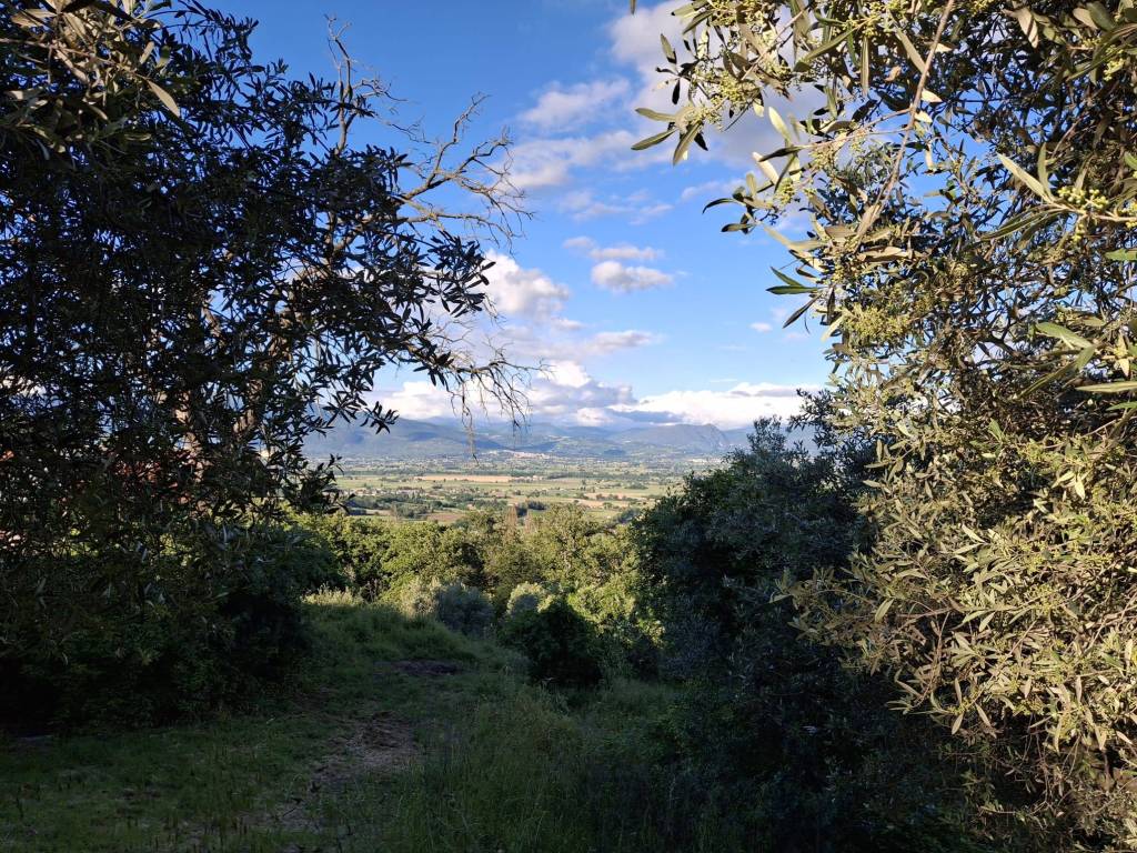 Villa a Bevagna in Via Madonna Addolorata, 4 - Foto 5