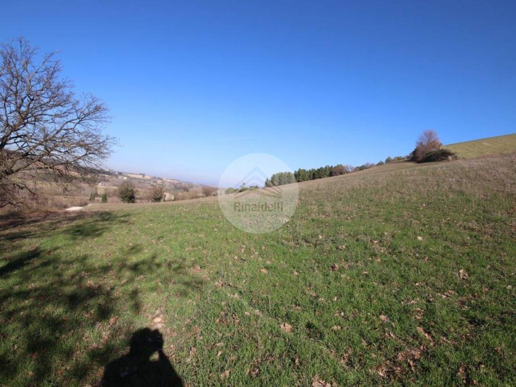 Terreno a Sant'elpidio a mare in Strada Cerretino - Foto 4