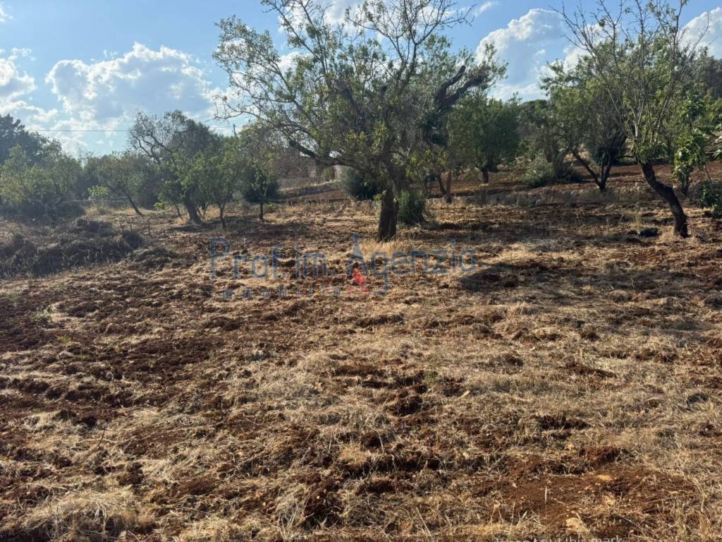 Terreno a San vito dei normanni - Foto 4