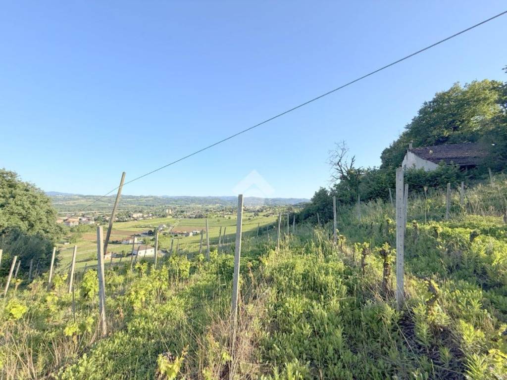 Rustico / casale a Strevi - Foto 2