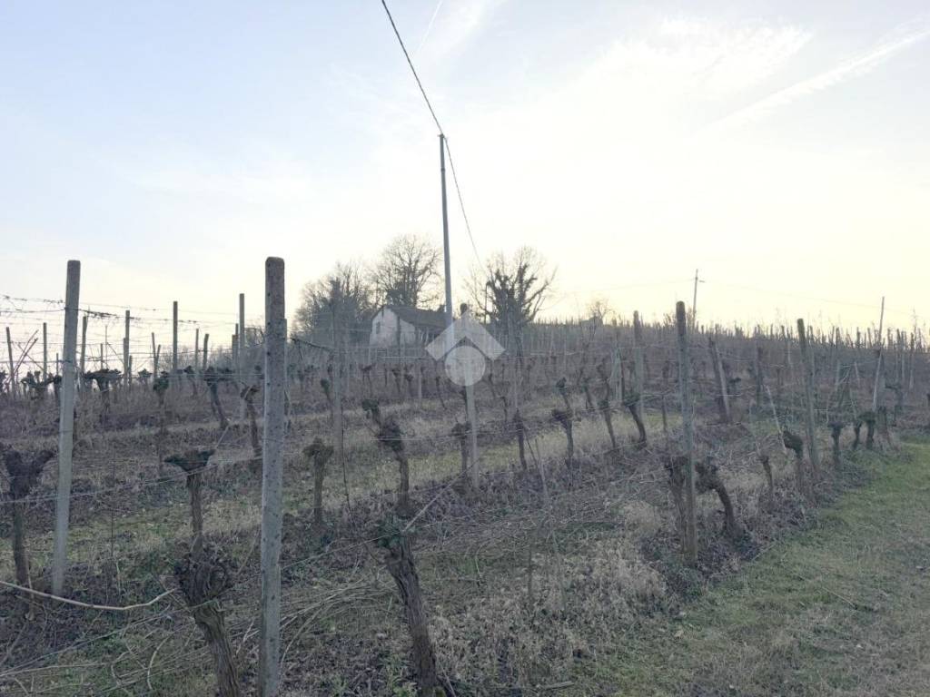 Rustico / casale a Strevi - Foto 3