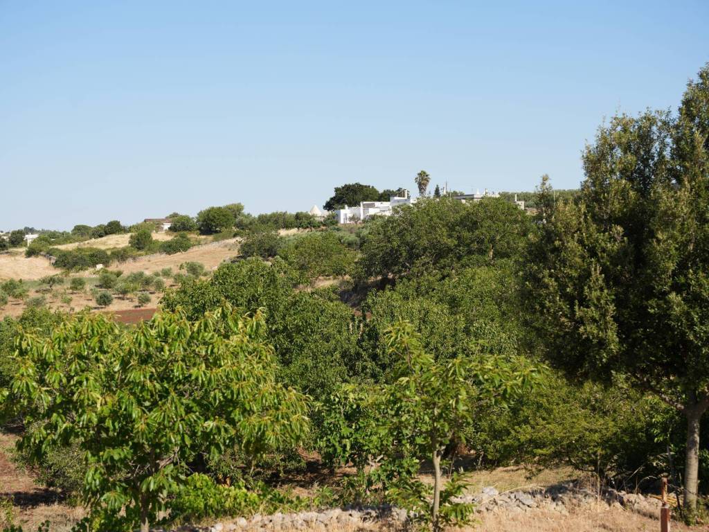 Rustico / casale a Martina franca in STRADA PADULA CAPPA - Foto 2