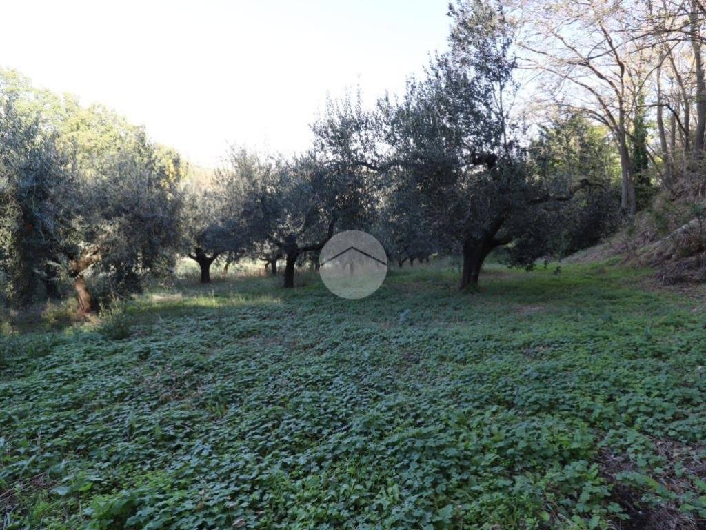 Terreno a Silvi in Via Gran Sasso, 1 - Foto 2