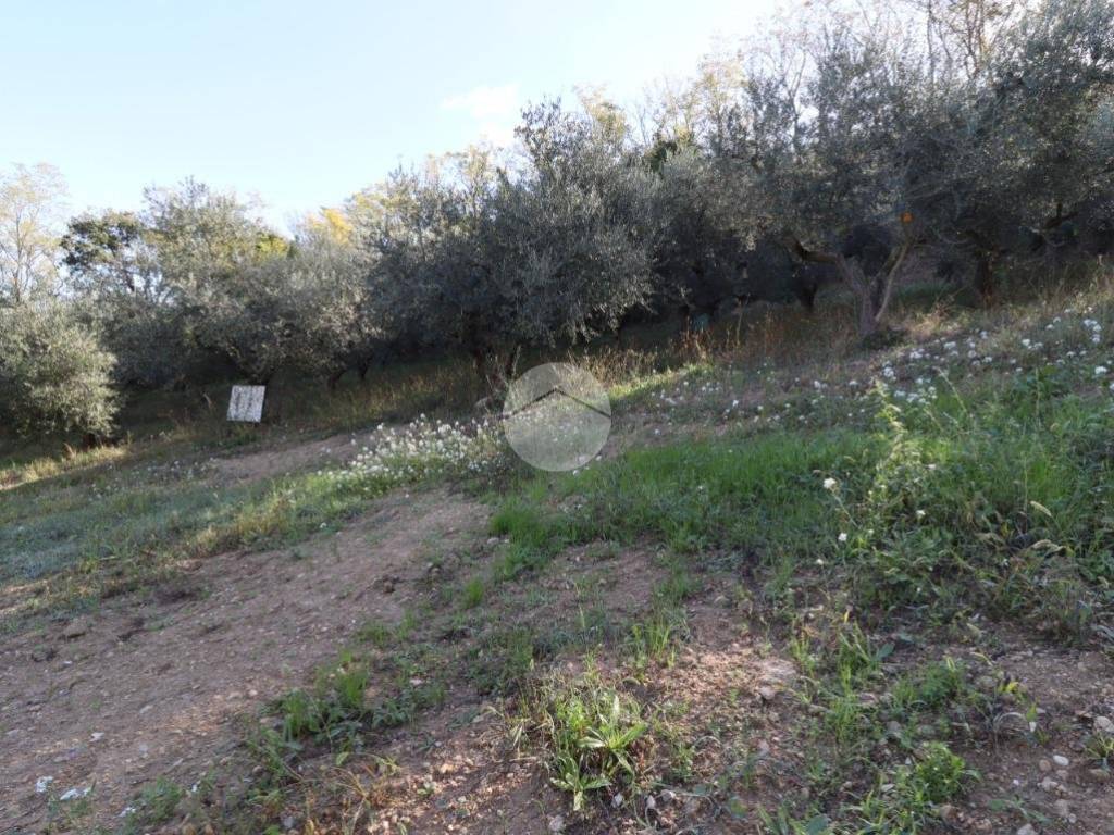Terreno a Silvi in Via Gran Sasso, 1 - Foto 3