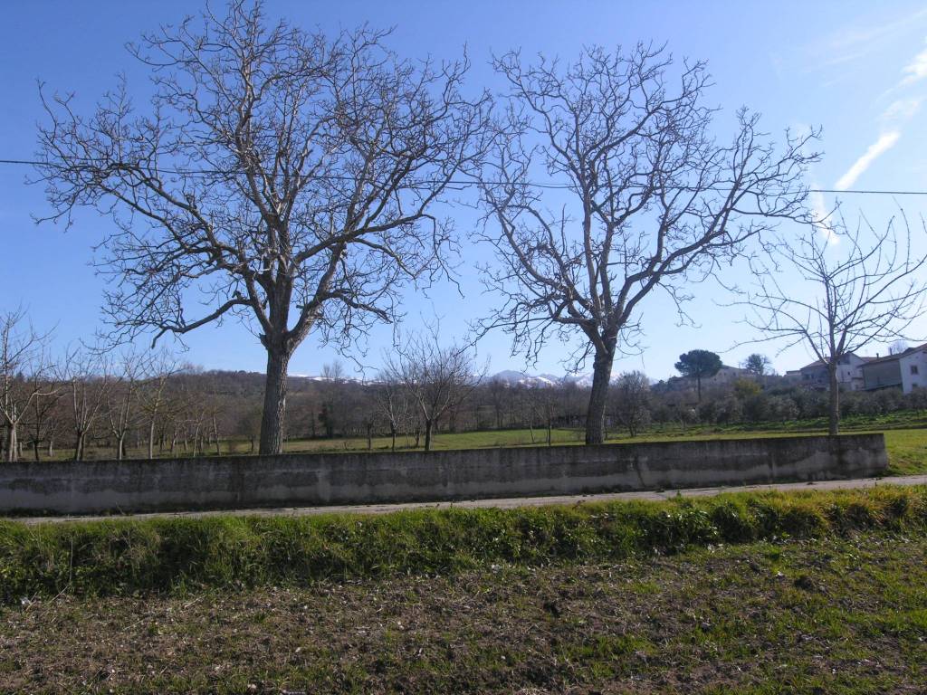 Terreno a Sant'agata de' goti in Piazza Trieste - Foto 2