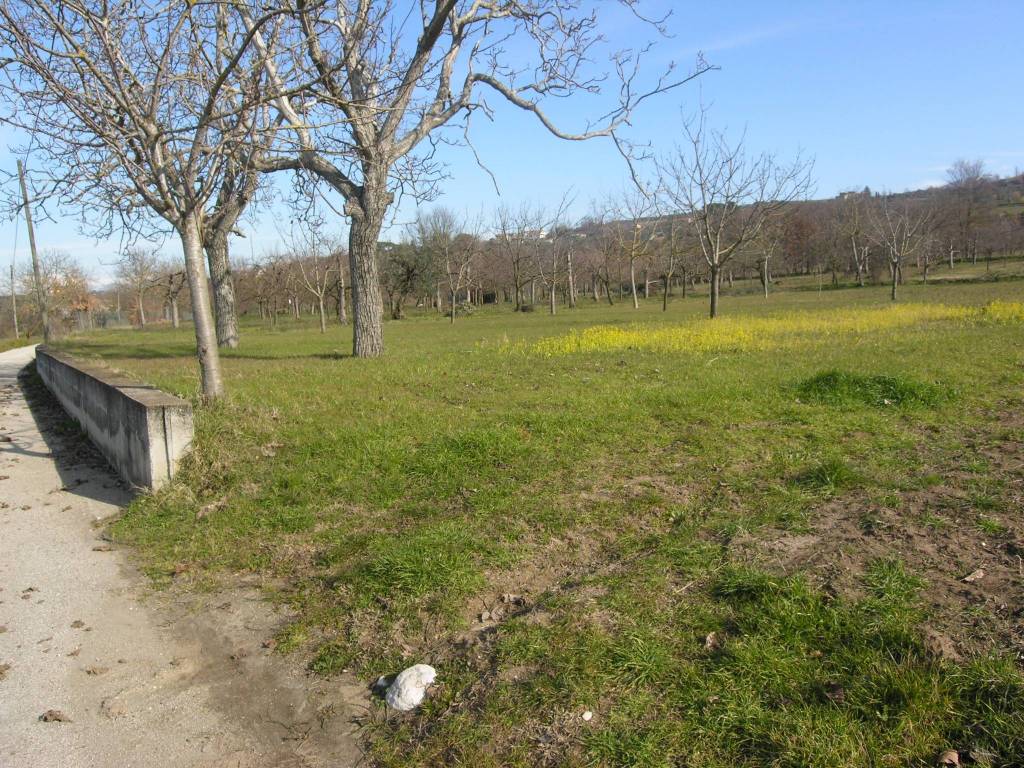 Terreno a Sant'agata de' goti in Piazza Trieste - Foto 3