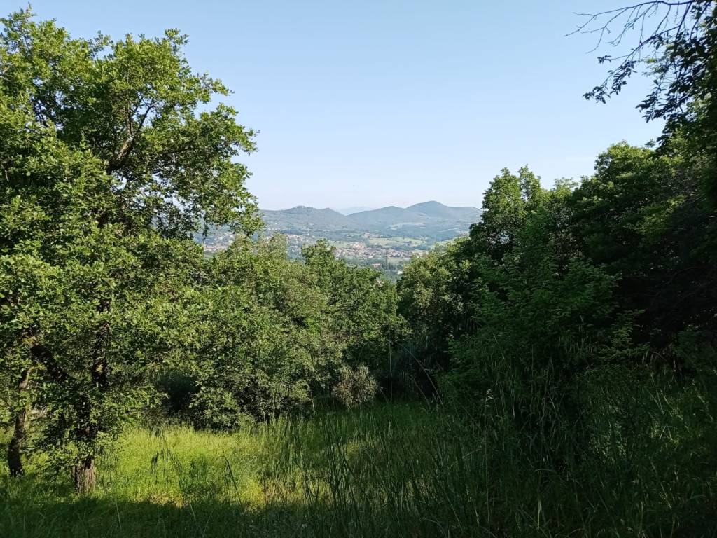 Terreno a Piegaro in Castiglion Fosco - Foto 2