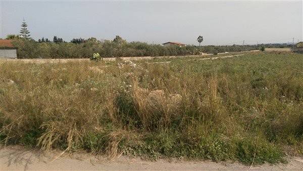 Terreno a Lentini in C/DA MACALI - Foto 3