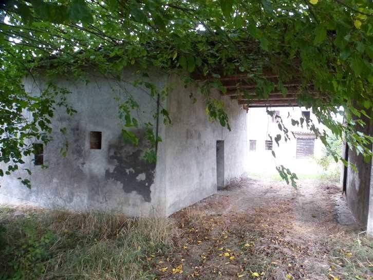 Rustico / casale a Castelvetro di modena - Foto 3