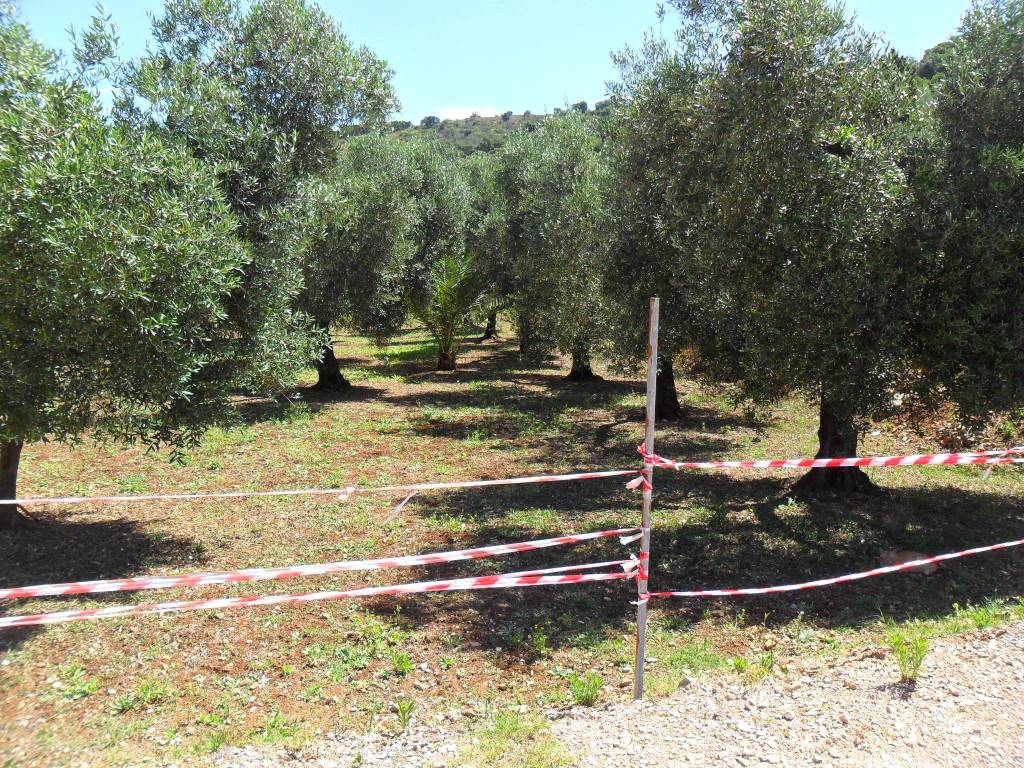 Terreno a Itri in Strada Provinciale Itri Sperlonga, 95 - Foto 3