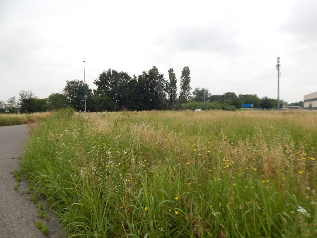 Terreno a Parma - Foto 2