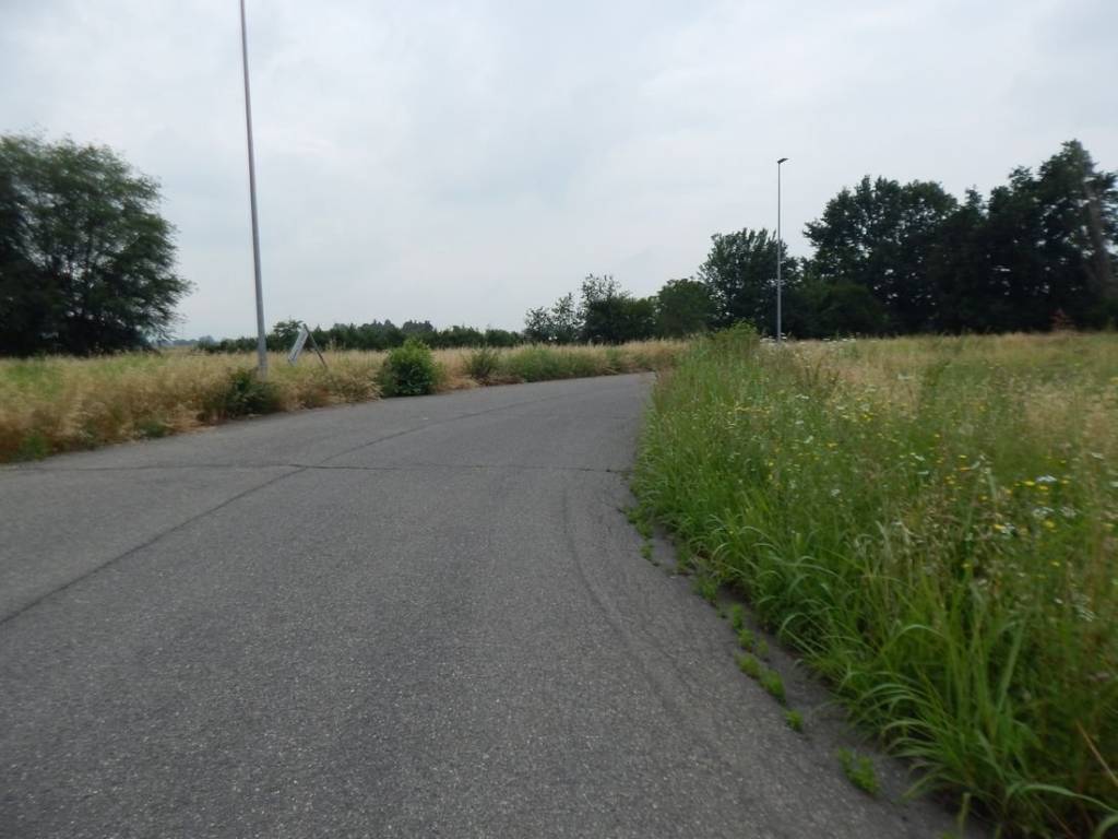 Terreno a Parma - Foto 3