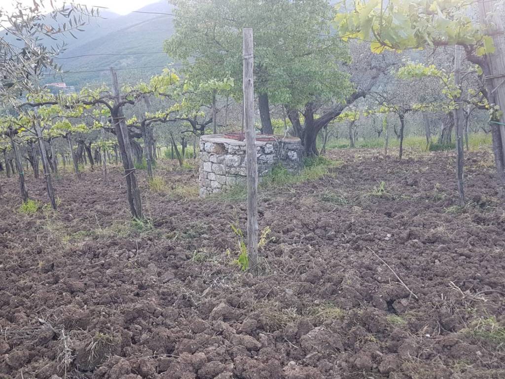 Terreno a Foglianise in Via Ospedale - Foto 2
