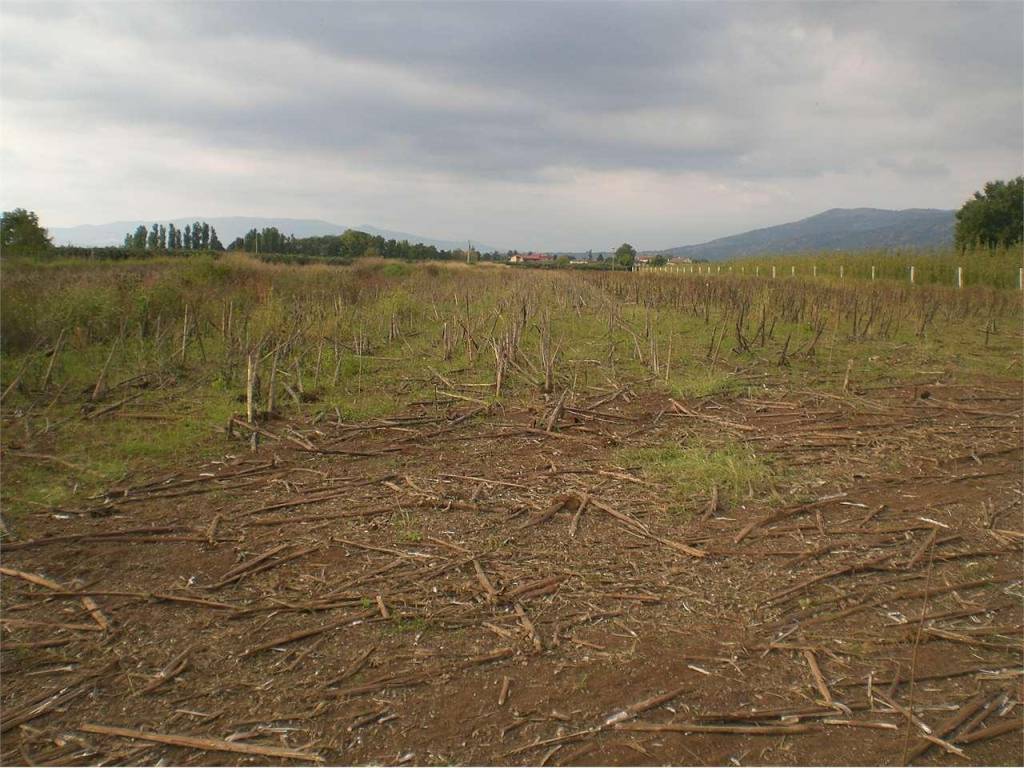 Terreno a Sermoneta - Foto 2