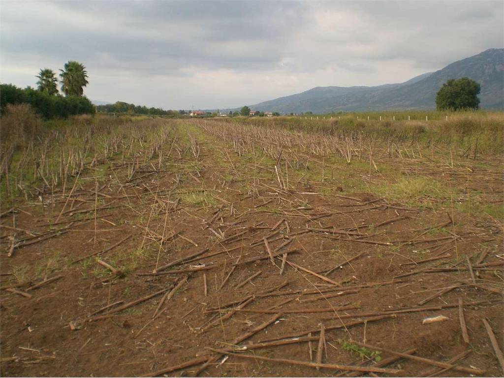 Terreno a Sermoneta - Foto 3