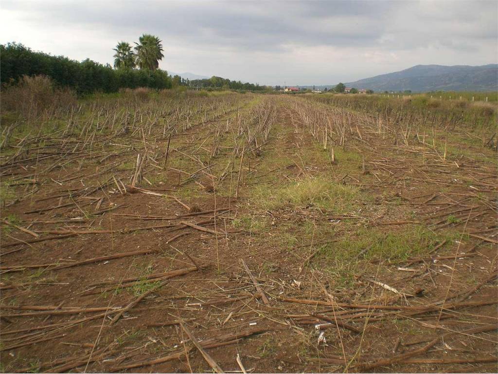 Terreno a Sermoneta - Foto 4