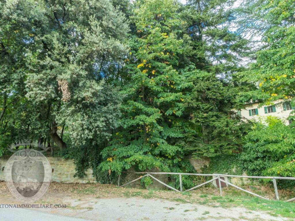 Rustico / casale a Cortona - Foto 2