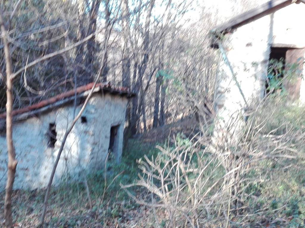 Rustico / casale a Margno in Località Piazzolo - Foto 5