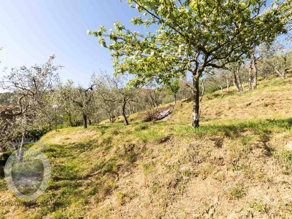 Rustico / casale a Cortona - Foto 4