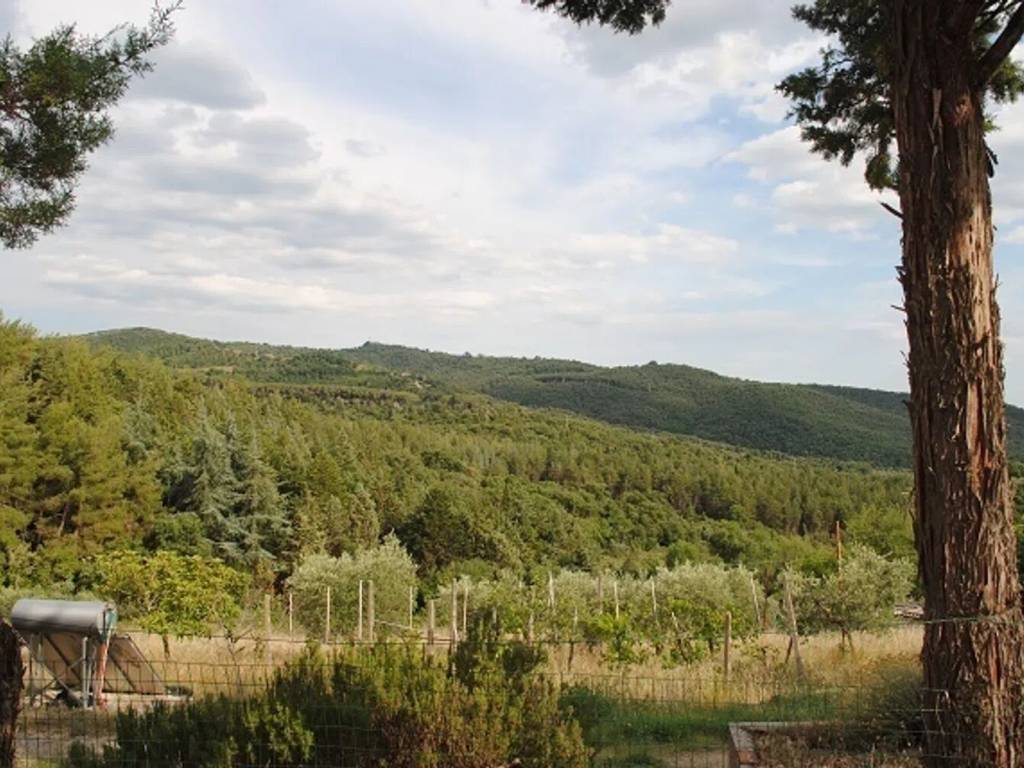 Rustico / casale a Paciano - Foto 4