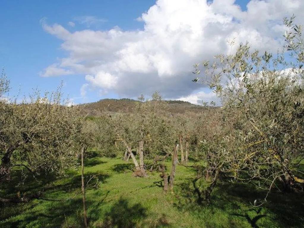 Rustico / casale a Cortona - Foto 3