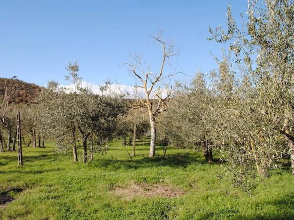 Rustico / casale a Cortona - Foto 4