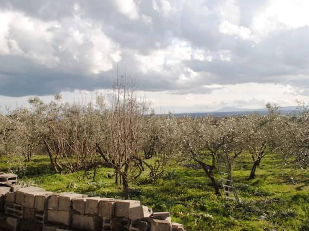 Rustico / casale a Cortona - Foto 5