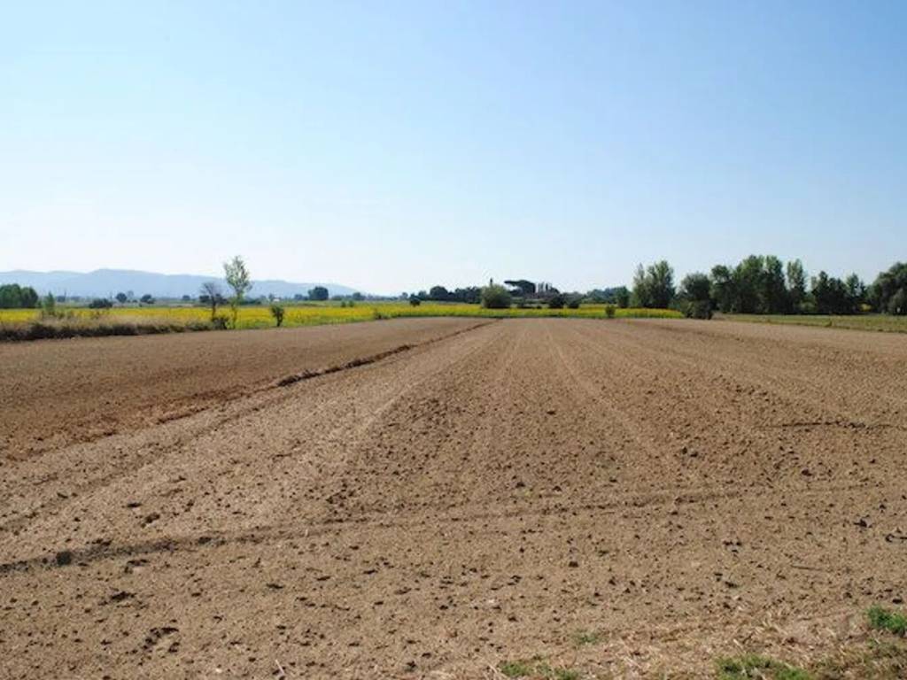 Rustico / casale a Cortona - Foto 3