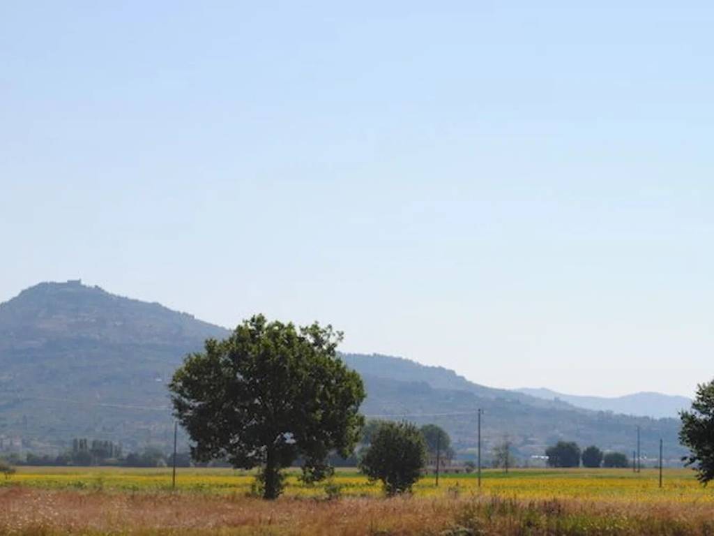Rustico / casale a Cortona - Foto 4