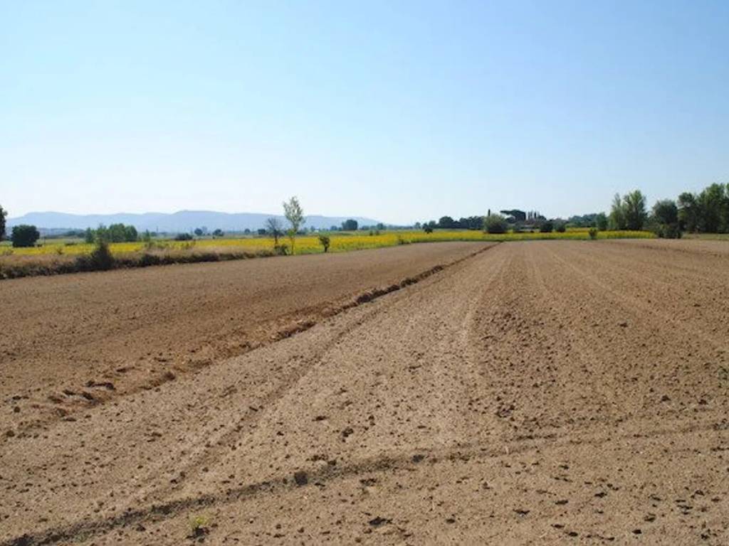 Rustico / casale a Cortona - Foto 5