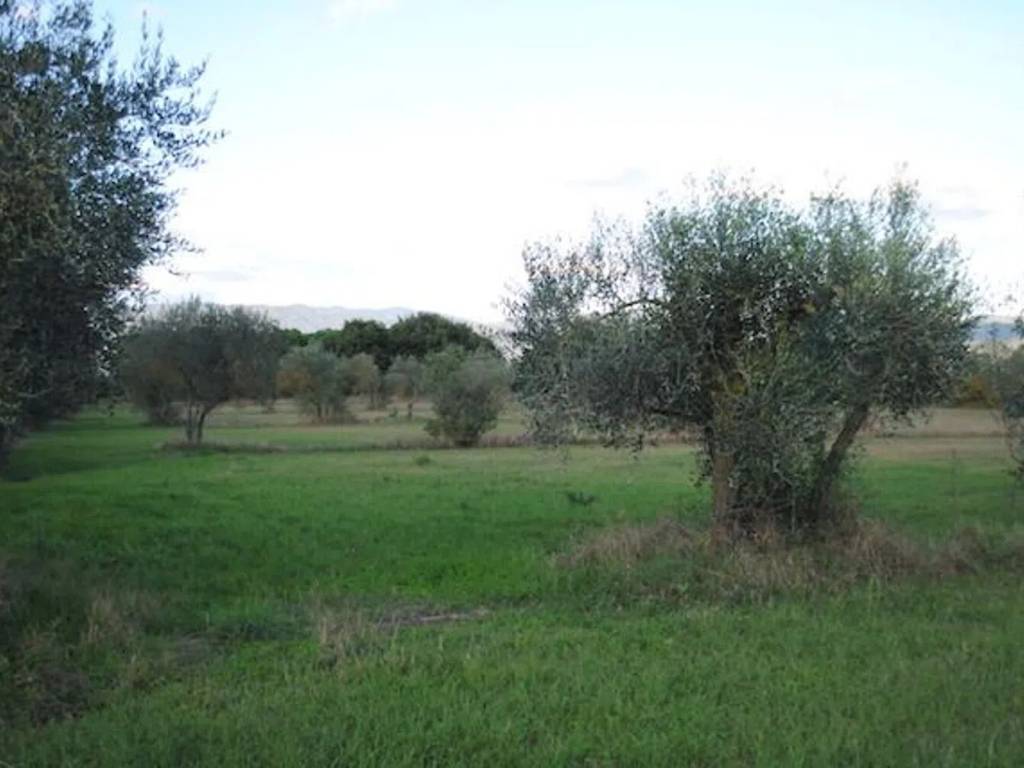 Villa a Cortona - Foto 4