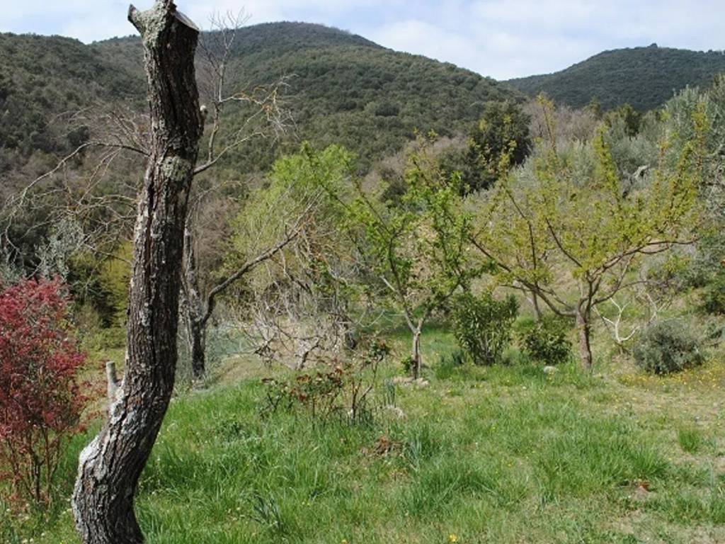 Rustico / casale a Tuoro sul trasimeno - Foto 3
