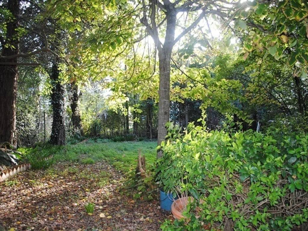 Rustico / casale a Cortona - Foto 2