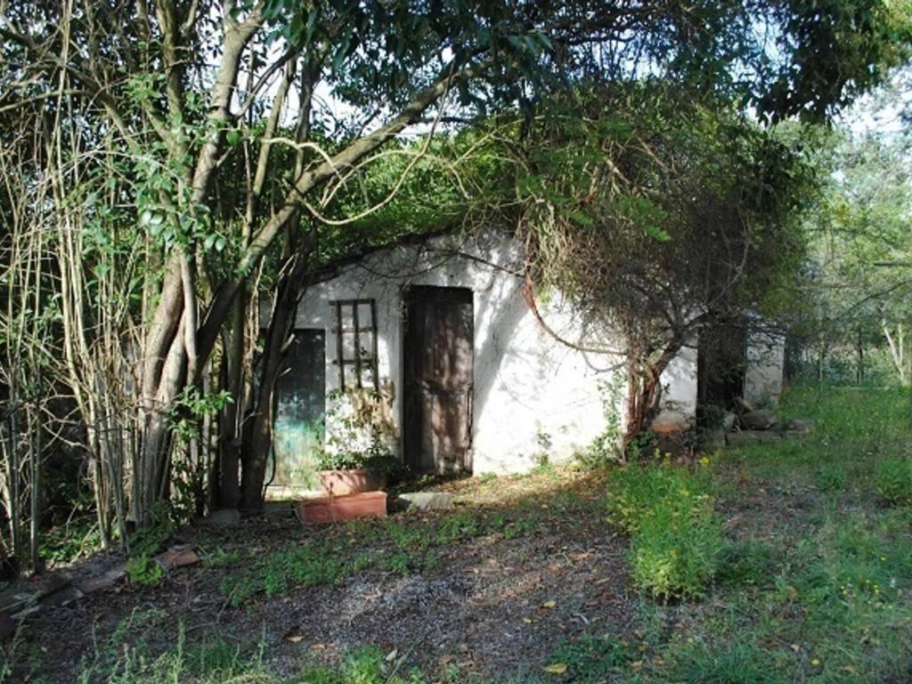 Rustico / casale a Cortona - Foto 4
