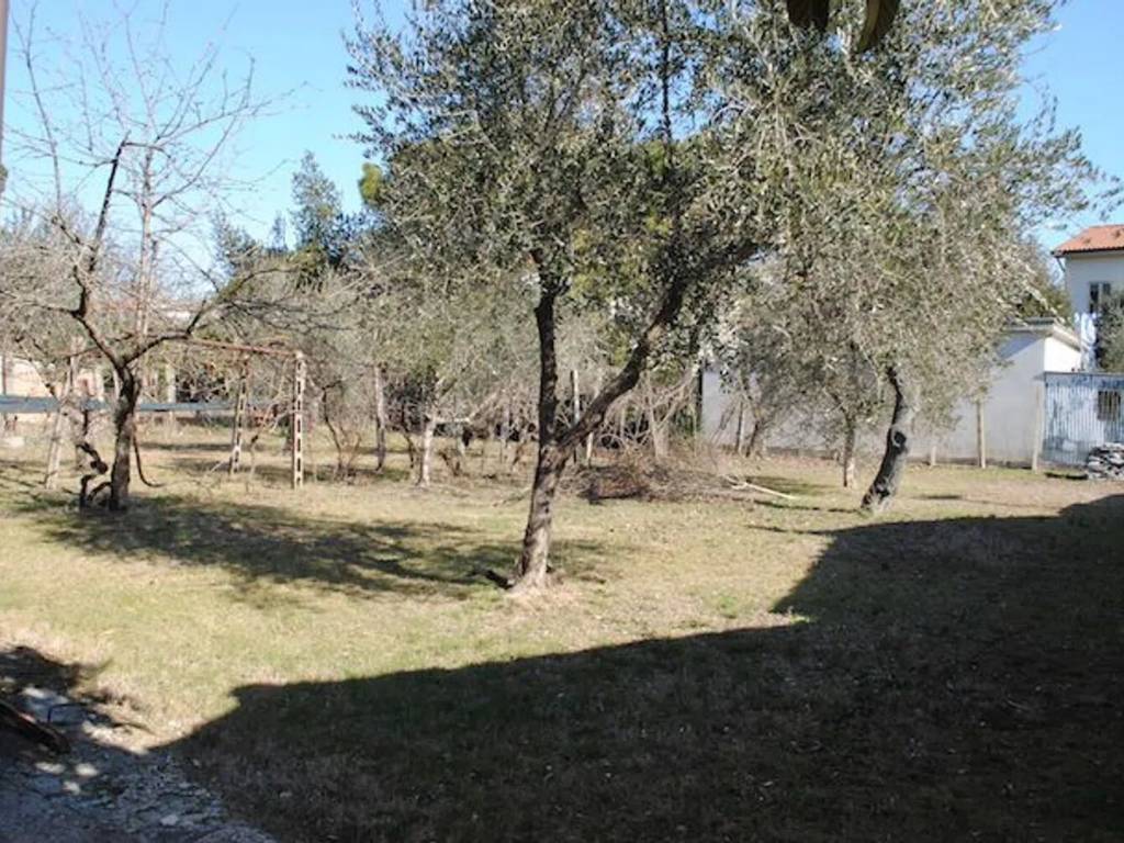 Immobile a Cortona - Foto 4