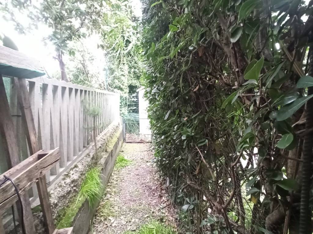 Appartamento a Rosignano marittimo in Via Gorizia - Foto 4